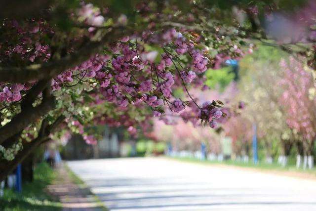 石林萬(wàn)家歡莊園拓展基地