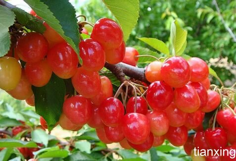 石林萬(wàn)家歡莊園拓展基地