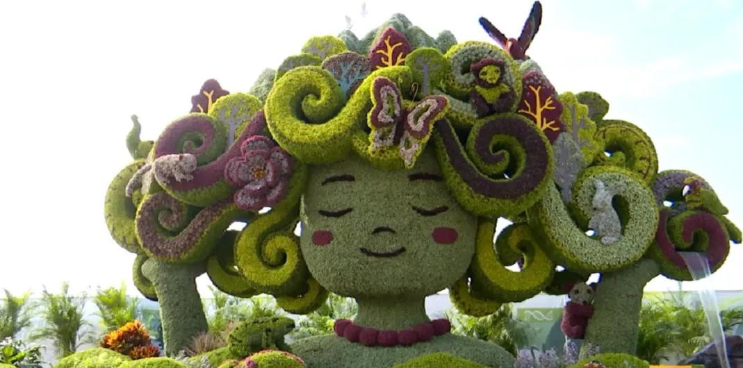 驚艷！昆明首次！快去打卡