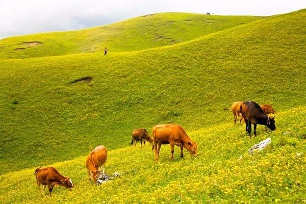 這里藏有三峽風光、草原景致，卻少有人知道！昆明出發1小時就能到！