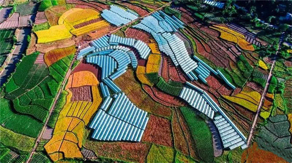 如果冬天能去元謀避寒，也太安逸了！