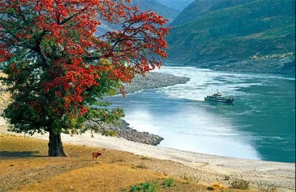 ?12月楚雄最美旅行地，來一場年末的收官之旅！