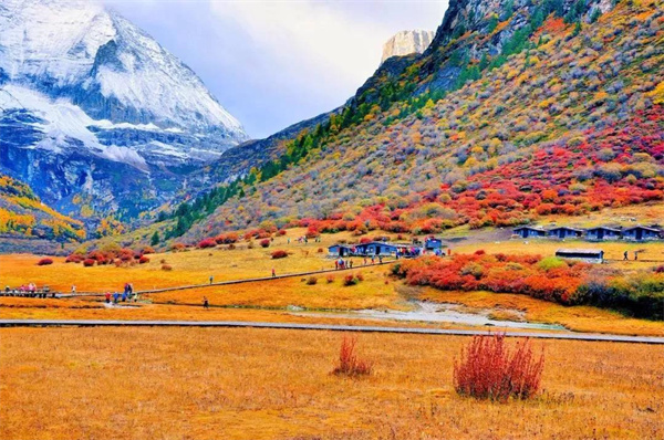 冬天適合兩個人旅行的地方！牽著你的手，一起到白頭，可好？