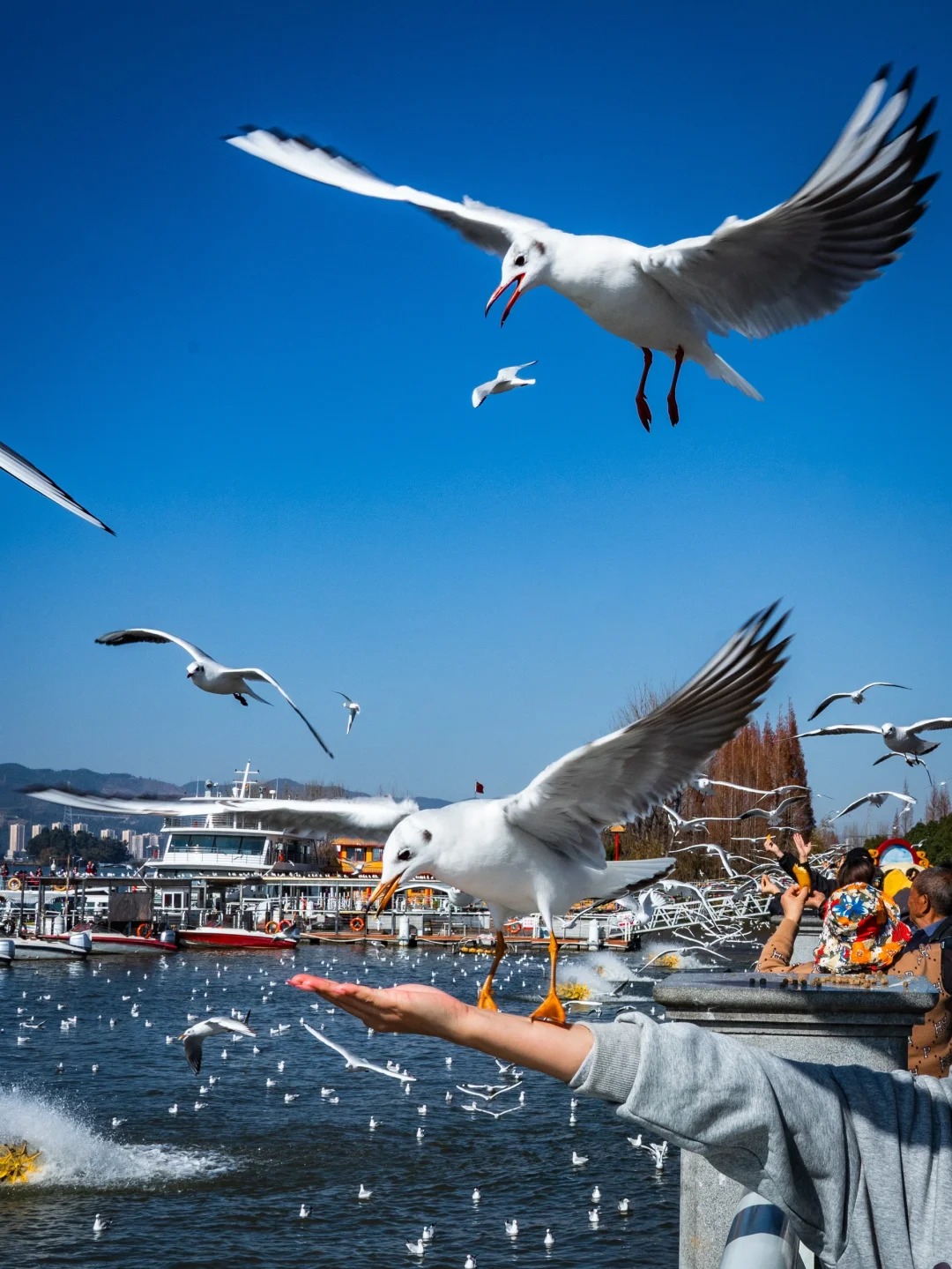 云南旅游,云南旅行社,云南團(tuán)建公司,云南策劃公司,昆明旅游,昆明旅行社,昆明團(tuán)建公司,昆明策劃公司,昆明會議會展：昆明兩日游攻略！