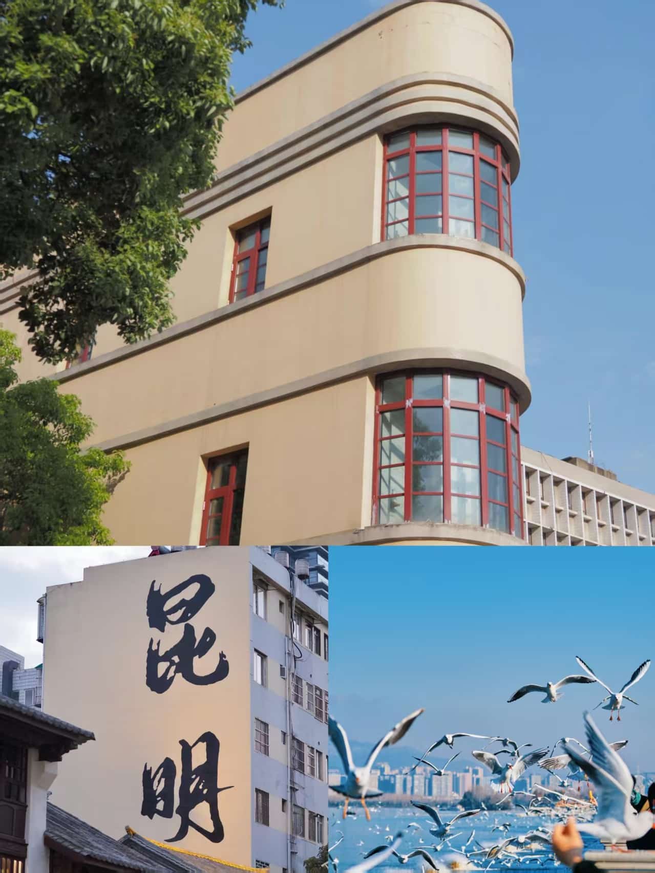 云南團(tuán)建公司,云南策劃公司,昆明旅游,昆明旅行社,昆明團(tuán)建公司,昆明會議會展：昆明24小時，在鮮花與海鷗間，邂逅一場春城的浪漫漫游